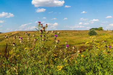 Similar image 16220982