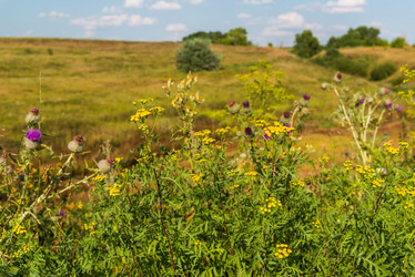 Similar image 16220987