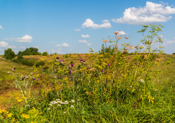 Similar image 16221002