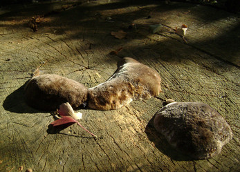 Similar image 15925361