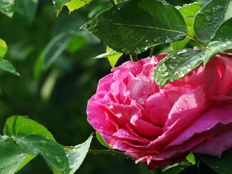 Similar image 15925377