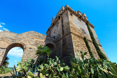 Similar image 16221647