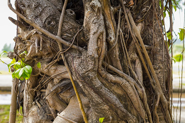 Similar image 16572060