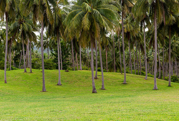 Similar image 16572415