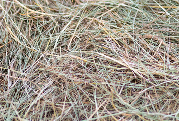 Similar image 16571941