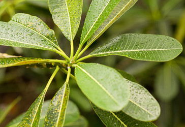 Similar image 16571942