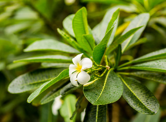 Similar image 16571846