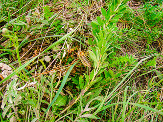 Similar image 16571880