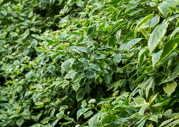 Similar image 16572020