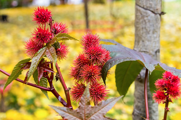 Similar image 16572079