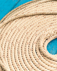 Similar image 16572432