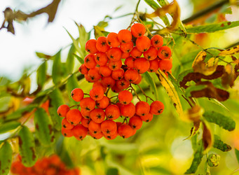 Similar image 16571832