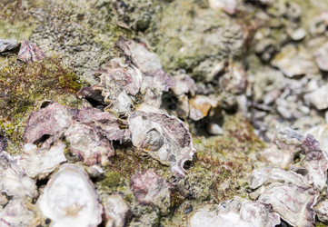 Similar image 16571833