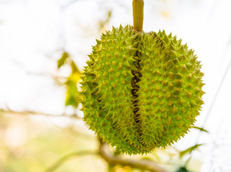 Similar image 16571963