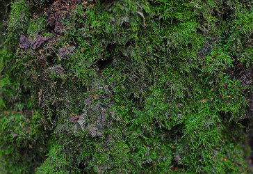 Similar image 16572339