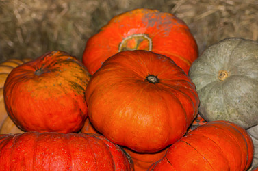 Similar image 16571925