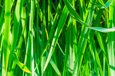 Similar image 16572044