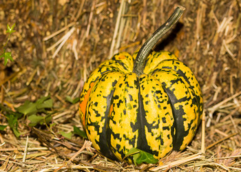 Similar image 16572067