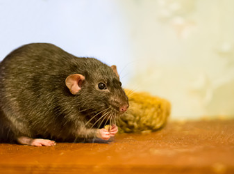 Similar image 16571947