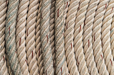 Similar image 16571948