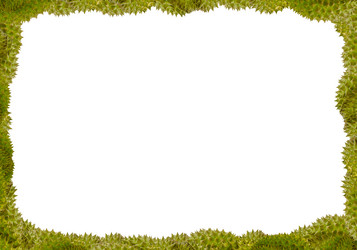 Similar image 16572103