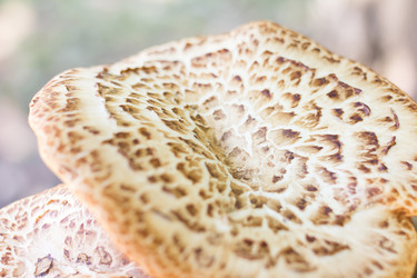 Similar image 16571850