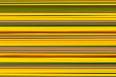 Similar image 16571851