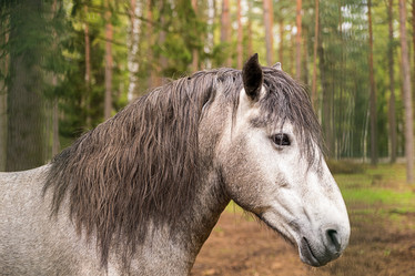 Similar image 16571967