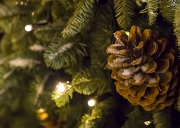 Similar image 16572048