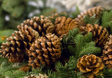 Similar image 15928089