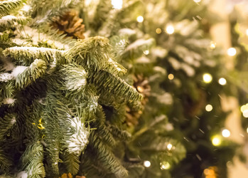 Similar image 16571838