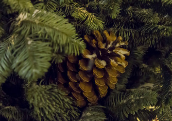 Similar image 16571839