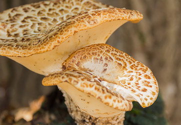 Similar image 15927775