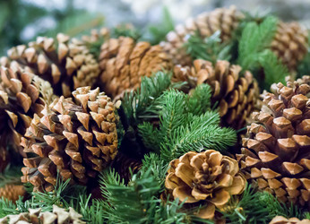 Similar image 15927814