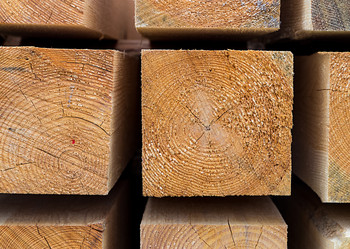 Similar image 15928093