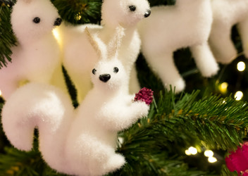 Similar image 15927827