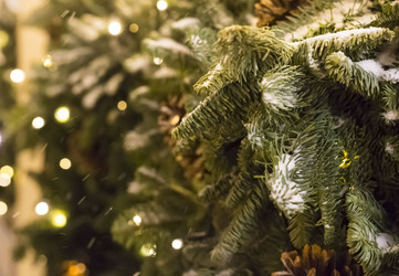 Similar image 15927828