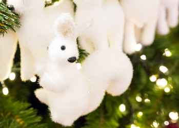 Similar image 15927835