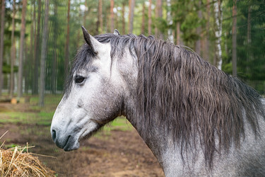 Similar image 15927796