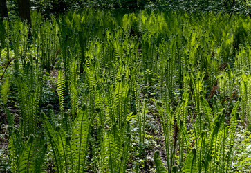 Similar image 15916985