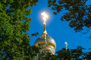 Similar image 16220983