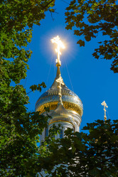 Similar image 16220986