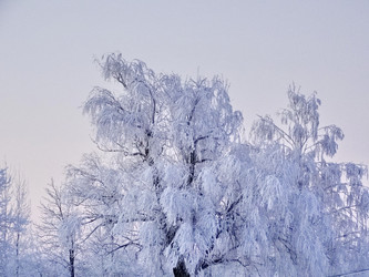 Similar image 15925364