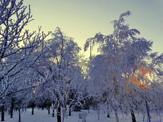 Similar image 15925365