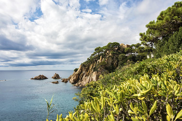 Similar image 15923898