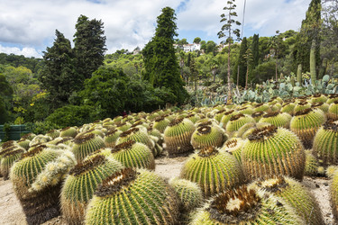 Similar image 15923899