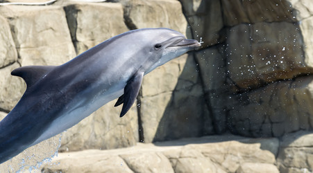 Similar image 15917276