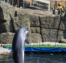 Similar image 15917277