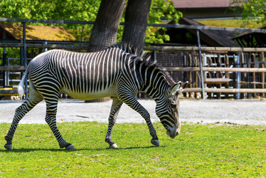 Similar image 15917279