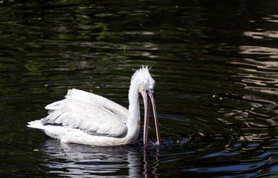 Similar image 15917281